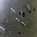 Die "Übeltäter": Abertausende von Kleinstschmetterlingen, es dürfte sich um die [http://de.wikipedia.org/wiki/Traubenkirschen-Gespinstmotte Traubenkirschen-Gespinstmotte] handeln
