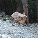 Der Stein hat ca. 1,2m Durchmesser            [http://www.matthias.hikr.org Home]