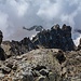 Blick zurück vom Gipfel des Piz Roseg: Der Sellagrat ist schon ein eindrücklich gezackter Grat