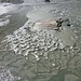 Der Gletscher lässt auf seinem Rückzug Massen an Sedimenten zurück - ein Kunstwerk der Natur.
