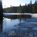 Blatný Rybnik (Sumpfiger Teich), den der Winter langsam aus seinem Griff entlässt