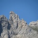 Ein Alpensteinbock (Capra ibex) auf den Schafbergchöpf.