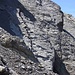 Dino-Spuren in der Felsplatte im Vordergrund