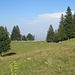Wunderschöner Spaziergang über die Juraweiden 