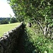 Immer schön der Mauer entlang