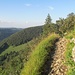 Die "Schlüsselstelle" im Abstieg zur Küferegg