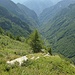 Blick ins Val Pincascia vom Hüttenweg Fümegna - Cornavosa