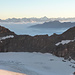 Zahlreiche Gipfel, vom Bietschhorn bis Finsteraarhorn