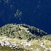 Alpe di Casned Q1983
(Alta valle d' Osogna)