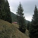 Rifugio Alpe Domass.