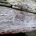 Terasc - Anschrift von Zan Zanini auf dem Torbalken im unteren Eingang