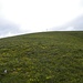 Die grüne Südseite des Dreifingerspitze,2479m.
