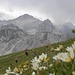 Monte Sella  di Sennes,2787m.