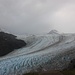 La lingua dell'Exit Glacier che scende a valle.