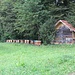 Imkerei
