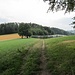 Auf der Rückfahrt