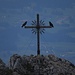 Gipfelkreuz des Gabelschrofen mit Besuch<br /><br />Croce di vetta del Gabelschrofen con ospiti