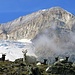 Bergziegen in hochalpiner Umgebung