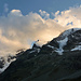 Letzte Sonne über der Bernina