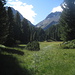 Blick das Val Muretto hinauf von der Alp Cavloc