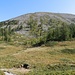 Unterwegs zum Seehorn