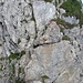 die Abstiegspassage im Rückblick - im Detail ...