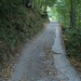 la strada all'inizio