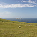 Unterwegs auf Dursey Island - Ausblick über ausgedehnte Schafweiden zu The Cow und The Bull (hinten) kurz vor Ankunft am Dursey Head.