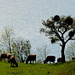 Cows grazing in front of lake Walen