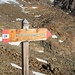 Es geht los: gleich hinter der Bergstation der Großkabinenbahn weist ein Schild zum Doss dei Cembri, es geht 200 Hm hinunter .....
