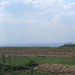 Gipfelaussicht vom Dealul Bălăneşti (429,5m) nach Südwesten.