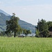 Giswil, Diechtersmatt, mit Blick über den See nach Sarnen