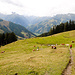 Oberhalb der Karalm.