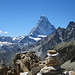 das Matterhorn von hier aus etwas näher herangeholt