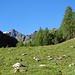 Im Aufstieg zwischen Vernec (1858 m) und Vouasson (2090 m) 