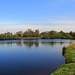 Cínovec, Dlouhý rybník (Langer Teich)