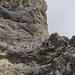 Der neue Klettersteig an der Kellenspitze rege besucht