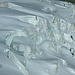 Beste Einblicke in die grosse Gletscherwelt