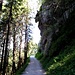 nette Felsnase über dem langwierigen T1-Anstieg in Richtung Watzmannhaus durch die Nadelwälder der Berchtesgadener Alpen