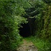 Zweiter Tunnel bei Joogne (gesprengt)