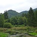 Teich bei le Moulin.