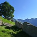 Alpe Camino