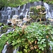 Kaskaden-Wasserfall