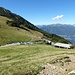 zurück auf der Alp Neggia