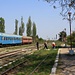 Die einsame Bahnstation von Ucea de Jos, Tor für Exkursionen in die Munţii Făgăraşului.