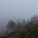 Sturm