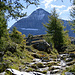 sentiero - parte che precede la discesa all' Alpe Campagneda con Pizzo Scalino