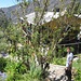 Im Garten des Hotels Brisas del Nevado