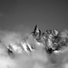 When the seafloors became sky cathedrals