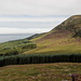 Im Abstieg vom Shan Slieve nach Newcastle - Ausblick über einen Zipfel des Donard Forest und das Tal des Glen River zum Thomas’s Mountain an den nordöstlichen Ausläufern des Slieve Donard.